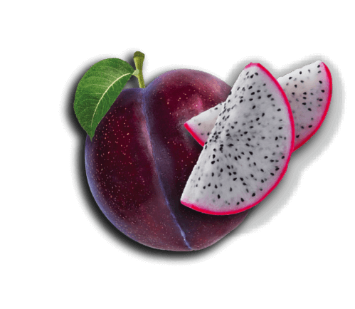 Dragon Fruit & Plum Drink